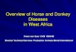 Overview of Equine and Donkey Diseases in West Africa · Equine Viral Diseases Equine Rhinopneumonitis (EHV 4) –Young animals –Fever and anorexia –Serous to mucopurulent discharge