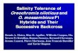Salinity Tolerance of Oreochromis niloticusand O ...€¦ · MLS Average (ppt) OST Average (ppt) Effect of Alternate Use of Sexes • Alternate use of sexes during breeding reduced