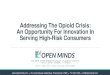 Addressing The Opioid Crisis: An Opportunity For ...€¦ · with high opioid prescribing rates; this age group has been hardest hit by the opioid epidemic 7 in 10 companies report