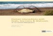 Human Interactions with Seals, Sea Lions & Walruses · tourism and recreational activities and the effects these may have on seals, sea lions and walruses, as well as some conversation