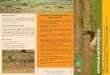 How to get the KrCA Conservation Area regulations to ...dnpwc.gov.np/media/publication/Krishnasar_Brochure_2019.pdf · Cervicapra Cervicapra) in Nepal. The conservation history of