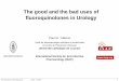 New The good and the bad uses of fluoroquinolones in Urology · 2007. 1. 26. · Use and misuses of fluoroquinolones GLEM - 9-1-2007 1 The good and the bad uses of fluoroquinolones