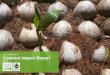 Fair Trade Certified™ Coconut Impact Report · 6. Thailand 7. Vietnam 8. Mexico 9. Papua New Guinea 10.Tanzania Fair Trade Certified coconut is produced in the Philippines, Indonesia,