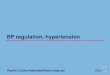 BP regulation, hypertension...Consequences of arterial hypertesion Jalta - 4. 2 1945 1 2 3 Winston Churchill (1) 24.01.65 Hypertensive encephalopathy + dementia Josif Stalin (3) 05.03.53