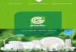 GREENLITEUSA · GREENLITE.CA ACT.NOW.FOREVER GREENLITEUSA.COM 2018 LIGHTING PRODUCT CATALOG. ACT.NOW.FOREVER 2018 LIGHTING PRODUCT CATALOG. GREENLITEUSA.COM 3 Our Story LED Bulbs