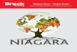 Niagara Roots – Global Reach · Roots – Global Reach”, it spans the period 2018 to 2025, including our milestone 60th anniversary in 2024. The Plan was developed through consultation