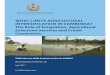 WHAT LIMITS AGRICULTURAL INTENSIFICATION IN CAMBODIA? … · ﬁeldwork management and data entry, and Ms Pon Dorina and Mr Ker Bopha for their excellent research assistance. The