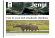 Jengi Newsletter No. 33, January 2018awsassets.wwf.org.za/downloads/jengi_newsletter_january_2018.pdf · Rangers later arrested Hallilu in the village of Socambo on Cameroon borders