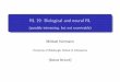 New RL19: BiologicalandneuralRL · 2016. 3. 18. · RL19: BiologicalandneuralRL (possiblyinteresting,butnotexaminable) MichaelHerrmann University of Edinburgh, School of Informatics