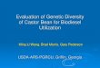 Evaluation of Genetic Diversity of Castor Bean for ... · ØCastor bean plants are easy to grow ØResistant to drought (ideal crop for semi -arid area or desert) ØNot compete with