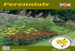 Perennials€¦ · perennials, you can get a longer lasting ﬂ owering period from spring to autumn. Because of annual cutbacks at some of our clients, planting schemes have become