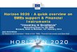 Horizon 2020 : A quick overview on SMEs support ......Part of the Horizon 2020 budget (3.69%) ; will usually not be provided through grant funding but in the form of risk -sharing