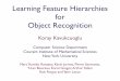 Learning Feature Hierarchies for Object Recognitionkoray/files/defense-presentation.pdfCSG ï P A (R+ R+) F CSG ï R abs ï N ï P A (UU) F CSG ï R abs ï N ï P A (R+ R+) F CSG ï
