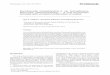 Protistology Korotnevella novazelandica n. sp. (Amoebozoa ... · 240 · Ilya A. Udalov, Eckhard Völcker and Alexey Smirnov of water on the Formvar coated aperture grids and air dried