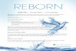 REBORN – Pulpit Pitch – 2-3 minutes · REBORN – Pulpit Pitch – 2-3 minutes Before the final blessing, the celebrant invites the person who is going to speak about ... “As