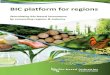 BIC platform for regions - biconsortium.eu€¦ · Interested regions will be asked to complete a template for their profile in the platform (see section ‘What type of information