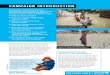 CAMPAIGN INTRODUCTION - UNICEF UK...Initiative and Unicef are working with governments to support the implementation of its commitments. So far there are 12 government signatories