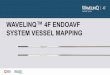 WAVELINQ 4F ENDOAVF SYSTEM VESSEL MAPPING...Prox Mid Dist BD-11098. Patient Selection Flowchart Assess Venous Outflow 2 ... • Fistula flow: Arterial inflow ≥ 500 ml/min1 • Target