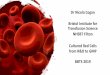 Dr Nicola Cogan Bristol Institute for Transfusion Science ......NHSBT Filton Cultured Red Cells from R&D to GMP BBTS 2019 Research – Cultured red cells Blood transfusion challenges