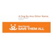 Dog by any other name Auerbach Finch MGprofessionalprograms.net/downloads/2017_BF/PDFs/BF-44 PDF... · LOS(days) ( 42.7 Lookalike PitBulls. StudyinOrangeCounty,Florida • 2014:Eliminatedlabels