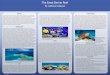DESIGN GUIDE THIS SIDEBAR DOES NOT PRINT The Great Barrier ...faculty.sdmiramar.edu/faculty/sdccd/alowe... · Barrier Reef. The best way we can help preserve the Great Barrier Reef