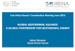 East Africa Donors’ Coordination Meeting, June 2016 · GGA concept introduced GGA Joint Statement announced Consultations with GGA partners Consultations with IGA and geothermal