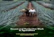 Decent and Productive Work in Agriculture€¦ · Decent and Productive Work in Agriculture 3 1. Rationale and justification Over a billion people, 1 nearly a third of the world’s