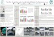 The effect of cognition on the visually-induced illusion ...ber1/web/posters/Riecke__04__poster4VSS2004_lands… · The effect of cognition on the visually-induced illusion of self-motion