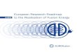 European Research Roadmap - EUROfusion€¦ · stakeholders. This roadmap forms the basis for the programmes of EUROfusion and Fusion for Energy. It provides a clear and structured
