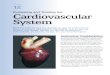 Evaluating and Treating the Cardiovascular Systemavianmedicine.net/wp-content/uploads/2013/03/12... · 2013. 3. 12. · Chapter 12| EVALUATING AND TREATING THE CARDIOVASCULAR SYSTEM