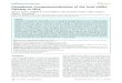 Cytoplasmic Compartmentalization of the Fetal piRNA ...repository.cshl.edu/27352/1/Hannon PLoS Genetics 2009.pdfCytoplasmic Compartmentalization of the Fetal piRNA Pathway in Mice