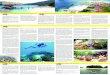 Facts On Marine Park Administration Introduction to Pulau ...€¦ · Island Ecosystem Pulau Redang Marine Park Centre jetty The Pulau (P) RedangArchipelago consists of the 9 islands