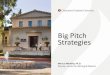 Big Pitch Strategies · 2020. 10. 8. · the Big Pitch presentation: general audience, 3-minute limit, & 1 PowerPoint slide. •Begininitial brainstorming and planning on a pitch