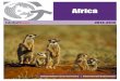 Africa - Globaltoursus · 2014. 2. 6. · Mara Steppe. Throughout you will view wildlife galore, breathtaking scenery and enjoy the colorful spectacle of the Masai and other local