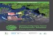 Peatlands Matter - Global Landscapes Forum · term benefits. Restoring peatland must operate within the ecological constraints of peat land systems and meet ecological, economic and