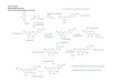 Amino Acids - MIT OpenCourseWare€¦ · Amino acids and nucleic acids NMe HN O OH H H N N N N O O CH3 CH3 H3C N Me O CO2Me O pseudopelletierine nicotine N N H Me caffeine ergot O