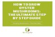 Grow your own gourmet oyster mushrooms from ... - 6WHS … · cultivation and get to the good stuff; harvesting & eating your own fresh Oyster mushrooms grown at home. Why Grow Oyster