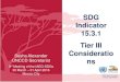 SDG Indicator 15.3.1 Tier III Consideratio nsunstats.un.org/sdgs/files/meetings/iaeg-sdgs-meeting-03/...utilization similar to the IPCC. Tier 1: Earth observation, geospatial information