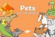 New Budgerigar · 2020. 5. 17. · Pets Les animaux seÐb twinkl . seÐb . seÐb