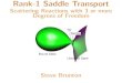 Rank-1 Saddle Transport Scattering Reactions with 3 or ...faculty.washington.edu/sbrunton/talks/CDS280_rank1.pdfRank-1 Saddle Transport Scattering Reactions with 3 or more Degrees