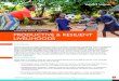 Livelihoods Sector Approach PRODUCTIVE & RESILIENT … · The resilience of people is built and their vulnerability to climate-related extreme events and other economic, social and