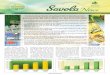 The Savola Group Reports an Increase of 38% in Operating …€¦ · 2009 as detailed in this newsletter. The Group real-ized net profits of SR 213 million and continued its policy
