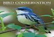 BIRD CONSERVATIONabcbirds.org/wp-content/uploads/2015/06/MagSpring11.pdfWeb: Email: info@abcbirds.org Bird Conservation Throughout the Year 7-9 Effective Bird Conservation Throughout