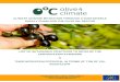 CLIMATE CHANGE MITIGATION THROUGH A ......• Task 1: Estimation of the potential climate change mitigation action in the olive grove management. This estimation of the mitigation