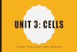 Unit 3: cells - Weebly · The 3 Basic Components of the Cell Theory were now complete: 1. All organisms are composed of one or more cells. (Schleiden & Schwann)(1838-39) 2. The cell