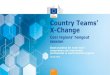 Country Teams’ X-Change - European Commission · 2019. 7. 17. · innovation. Growing businesscapable to cope with changes in global markets. Pilla. r. Direct investments. More