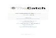 The Catch」全貌公開 · 2020. 9. 25. · 🄫2020 投資の学校プレミアム 高井さん： 大集合。 三井さん： サル以外でも分かるということですか。