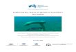 Exploring the status of Western Australia’s sea snakes Exploring... · Sea snakes are a key management issue in the north within and beyond CMRs due to their EPBC status and their