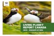LIVING PLANET REPORT CANADA · Canada is now home to hundreds of at-risk species. Without meaningful conservation action, their decline will continue. The WWF-Canada Living Planet