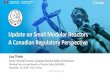 Update on small modular reactors : A Canadian perspective · 11/23/2018  · Update on Small Modular Reactors A Canadian Regulatory Perspective ... • Canada’s regulatory framework